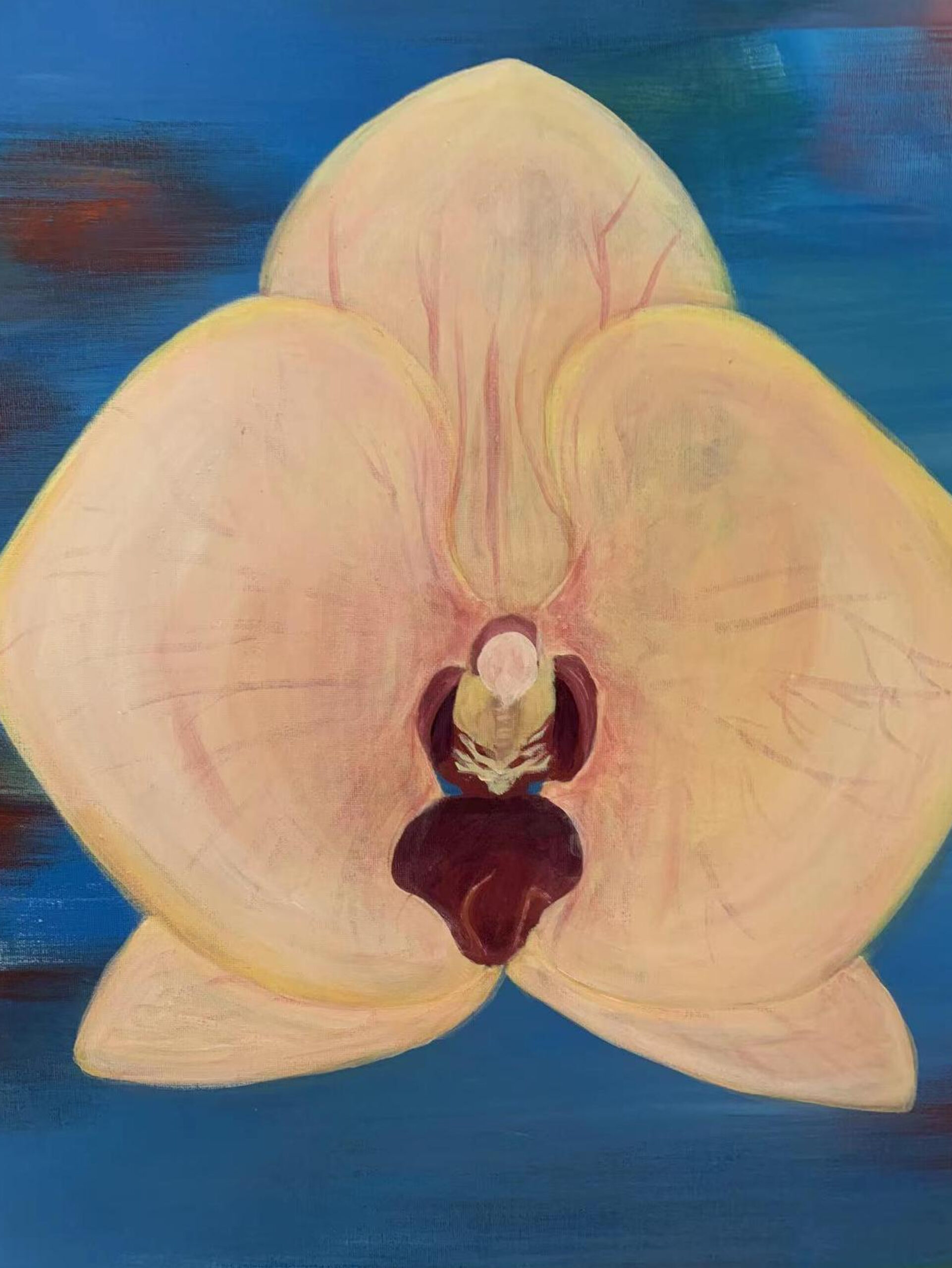 Mother's favorite? - Image 5